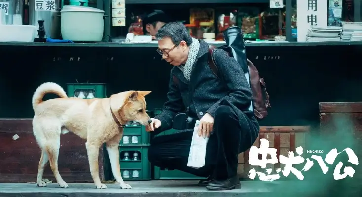 海外怎么看爱奇艺评价