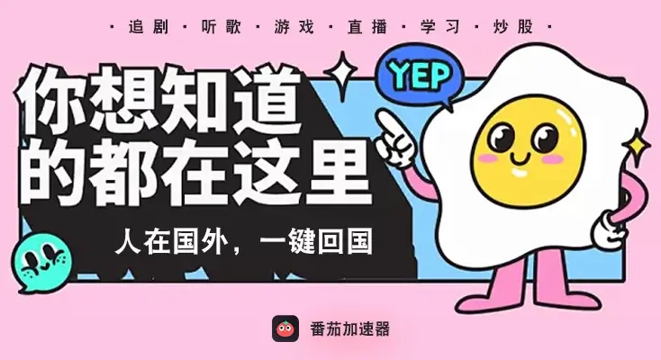 vpn cat 电脑版指南